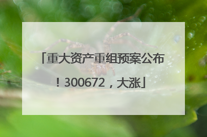 重大资产重组预案公布！300672，大涨